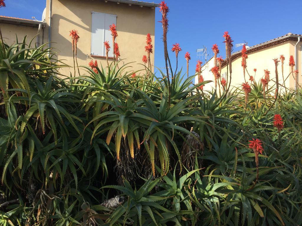Apartamento Le Melody Antibes Exterior foto